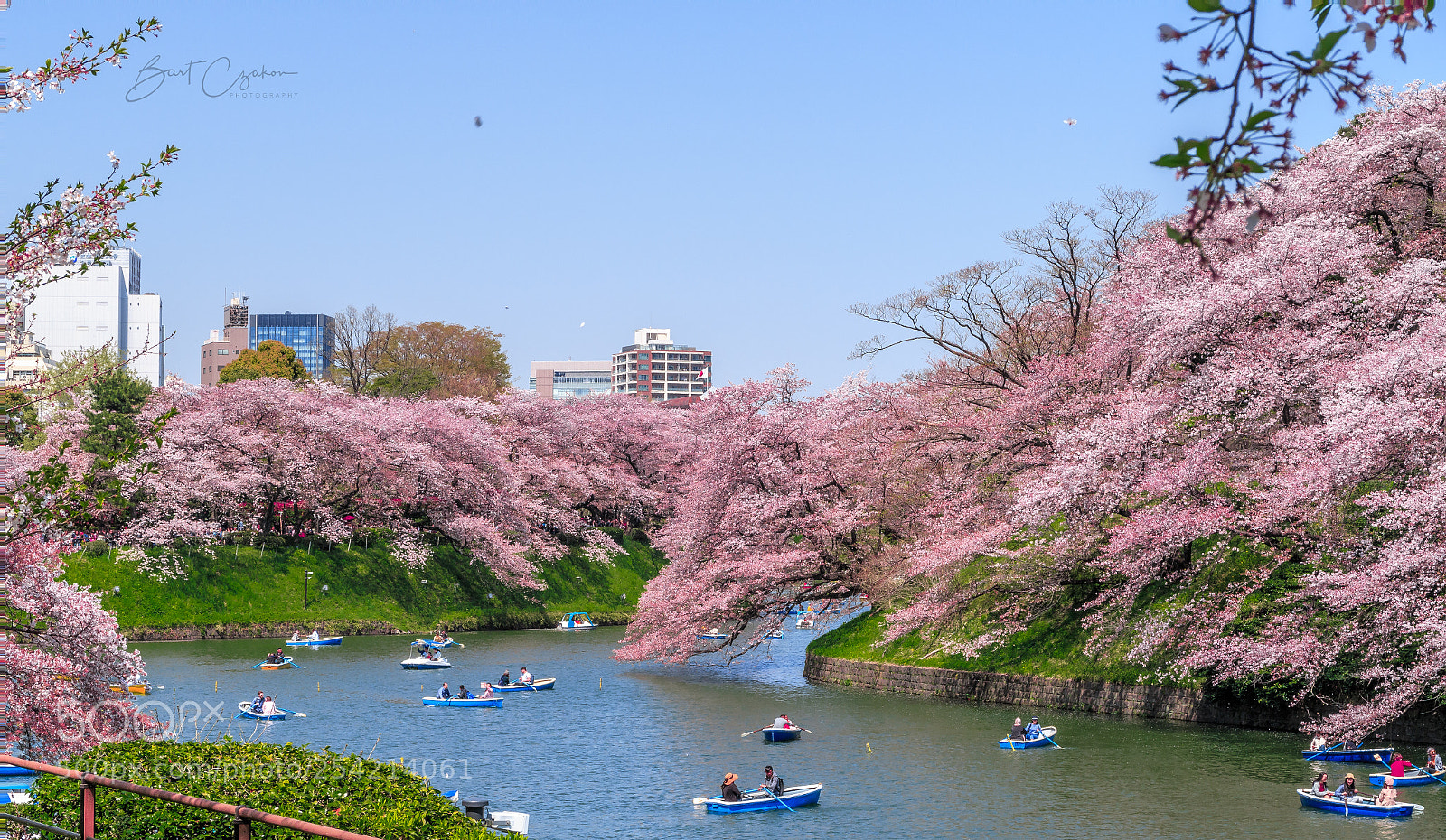 Canon PowerShot G7 X Mark II sample photo. Chidorigafuchi tokyo sakura photography