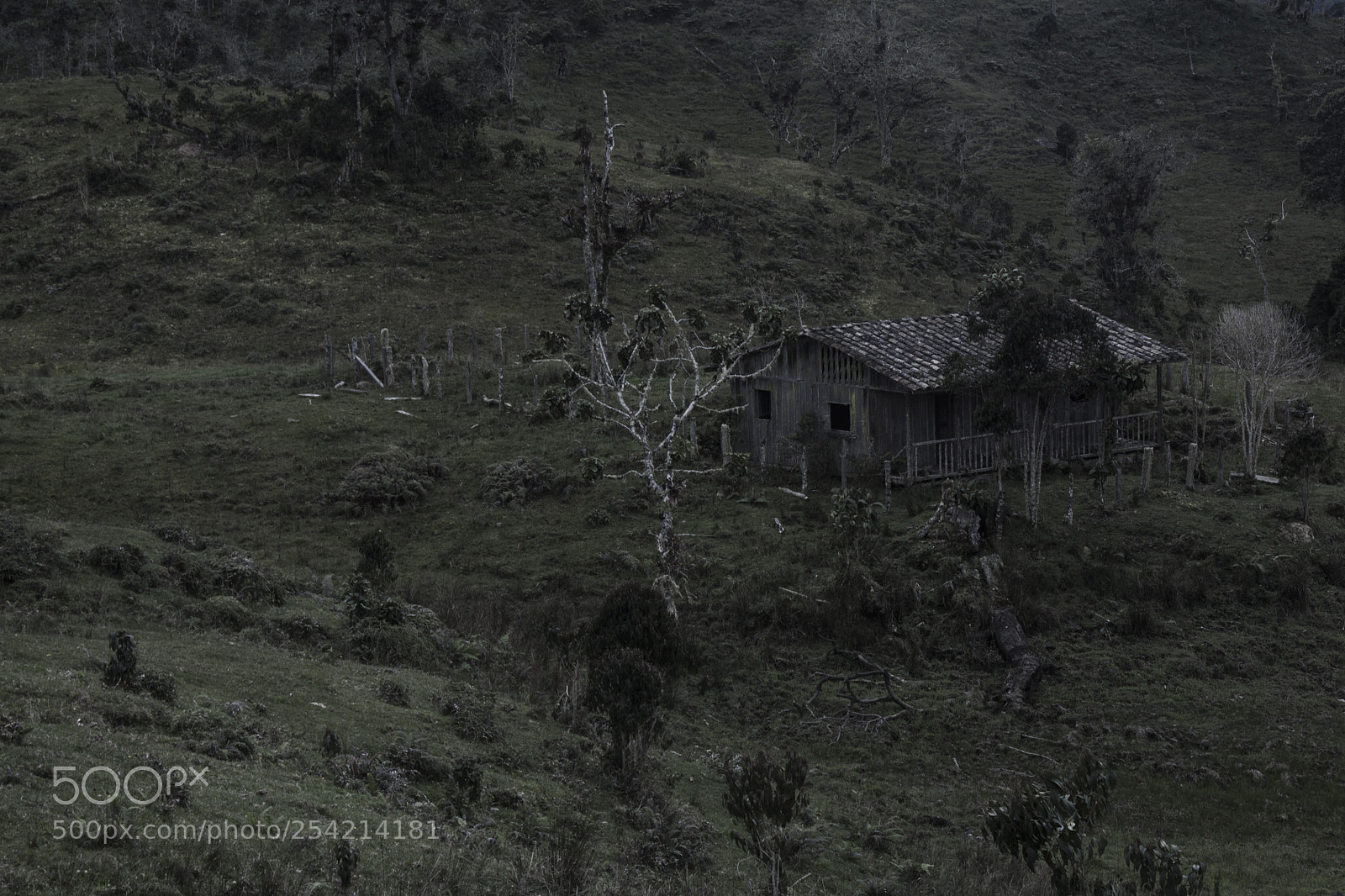 Canon EOS 450D (EOS Rebel XSi / EOS Kiss X2) sample photo. Solitary tenebrous house photography