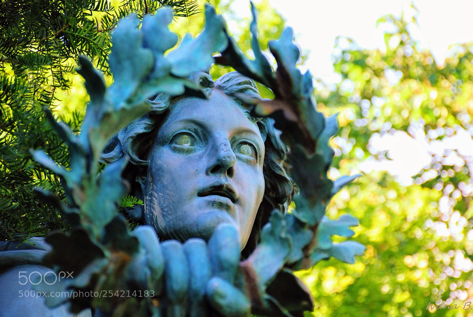 Nikon D40X sample photo. Vetitas photography