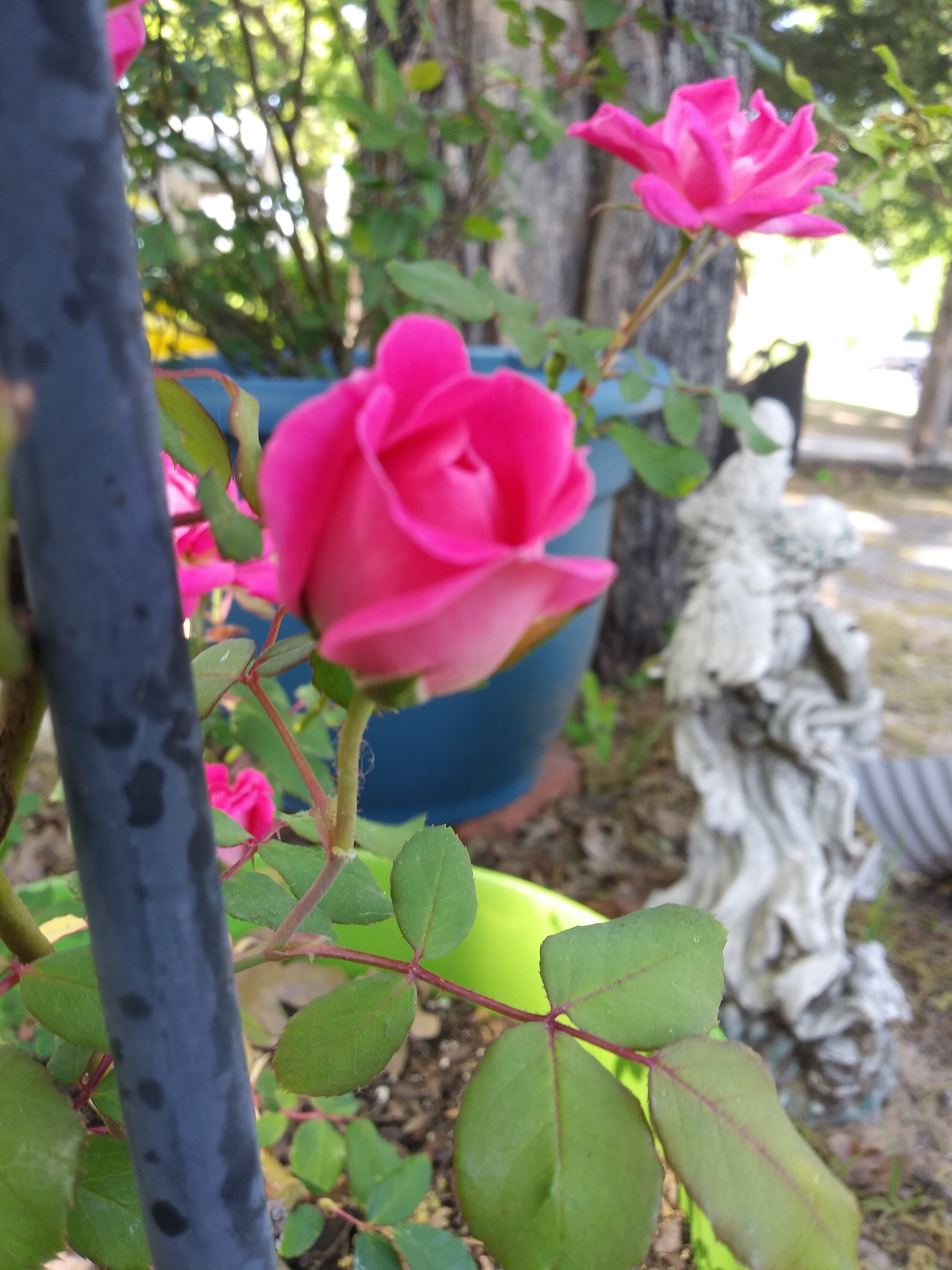 LG K8(2018) sample photo