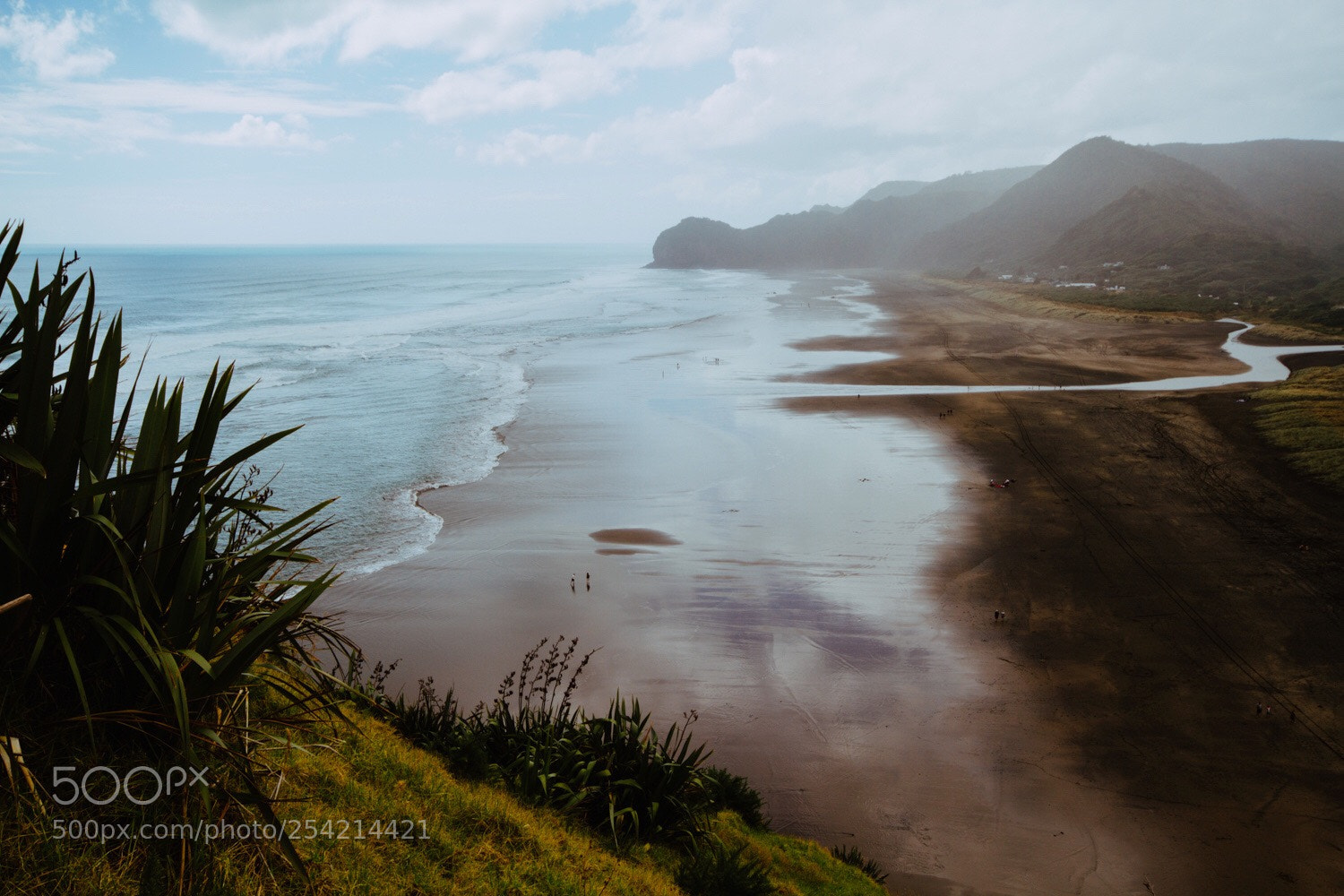 Canon EOS 7D sample photo. Piha photography