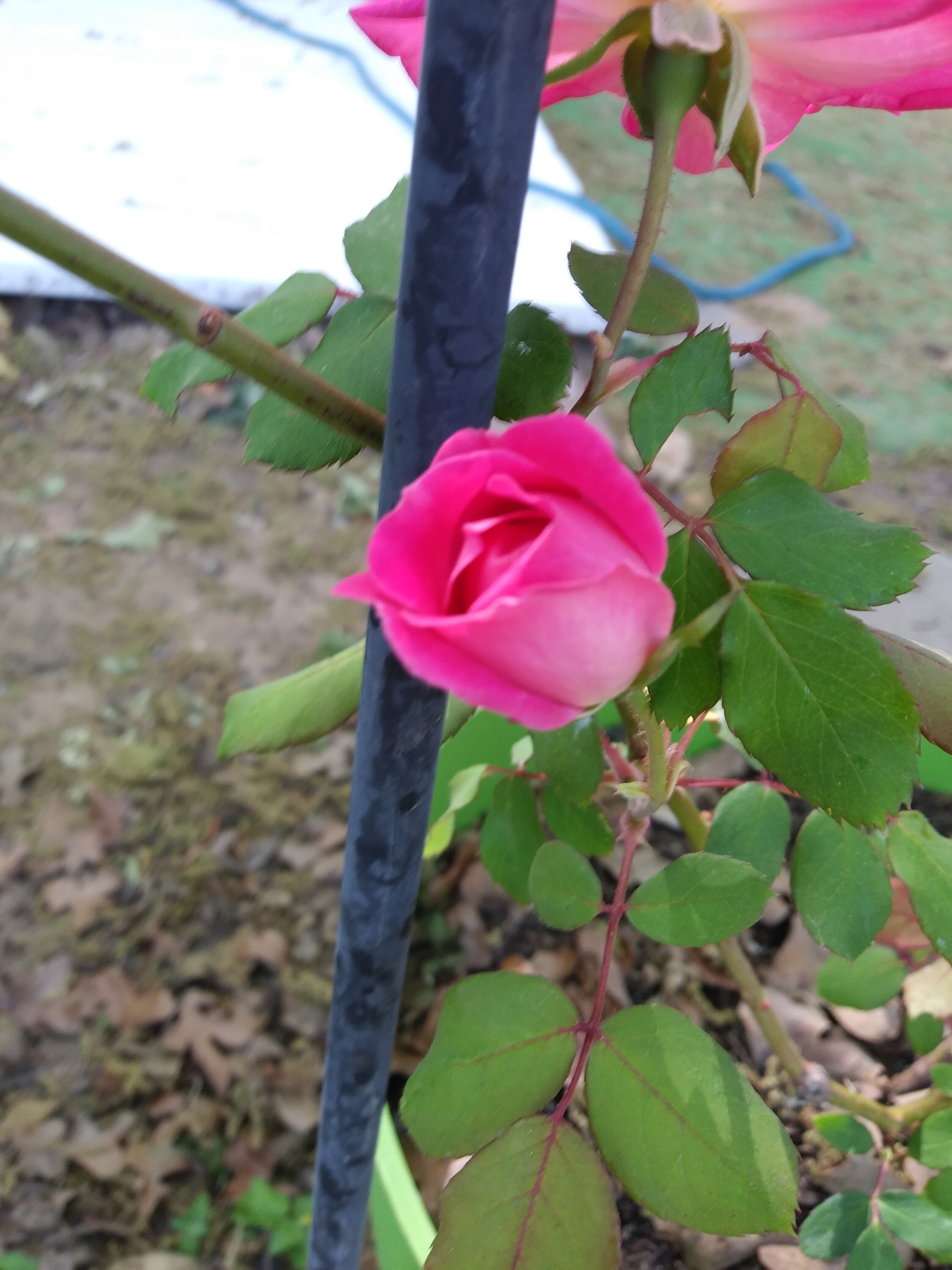 LG K8(2018) sample photo