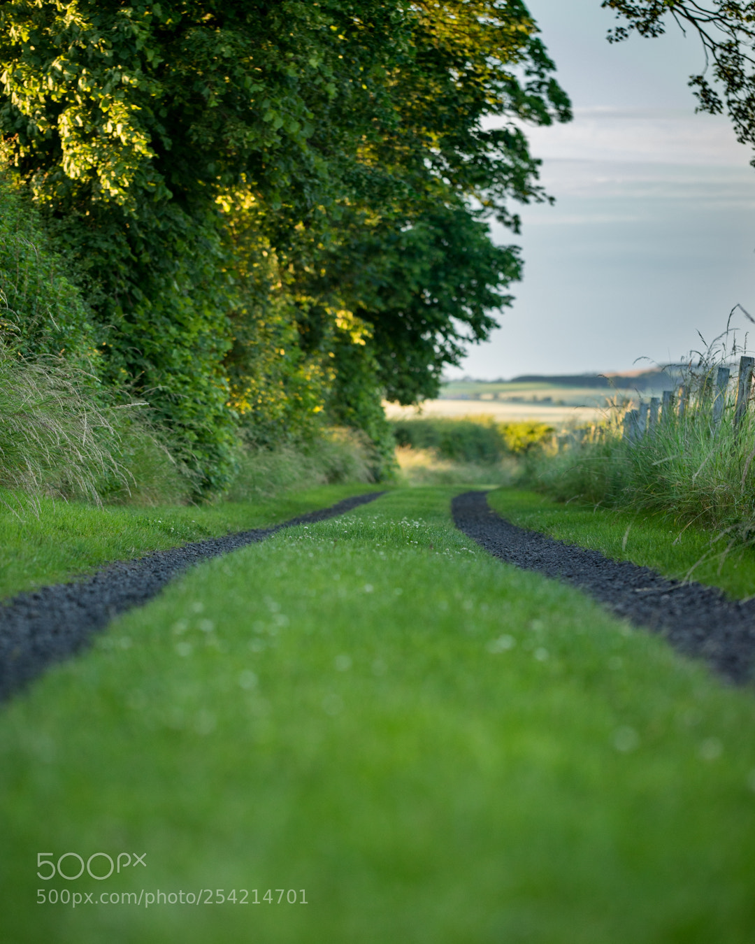 Sony a7R sample photo. Take me home photography