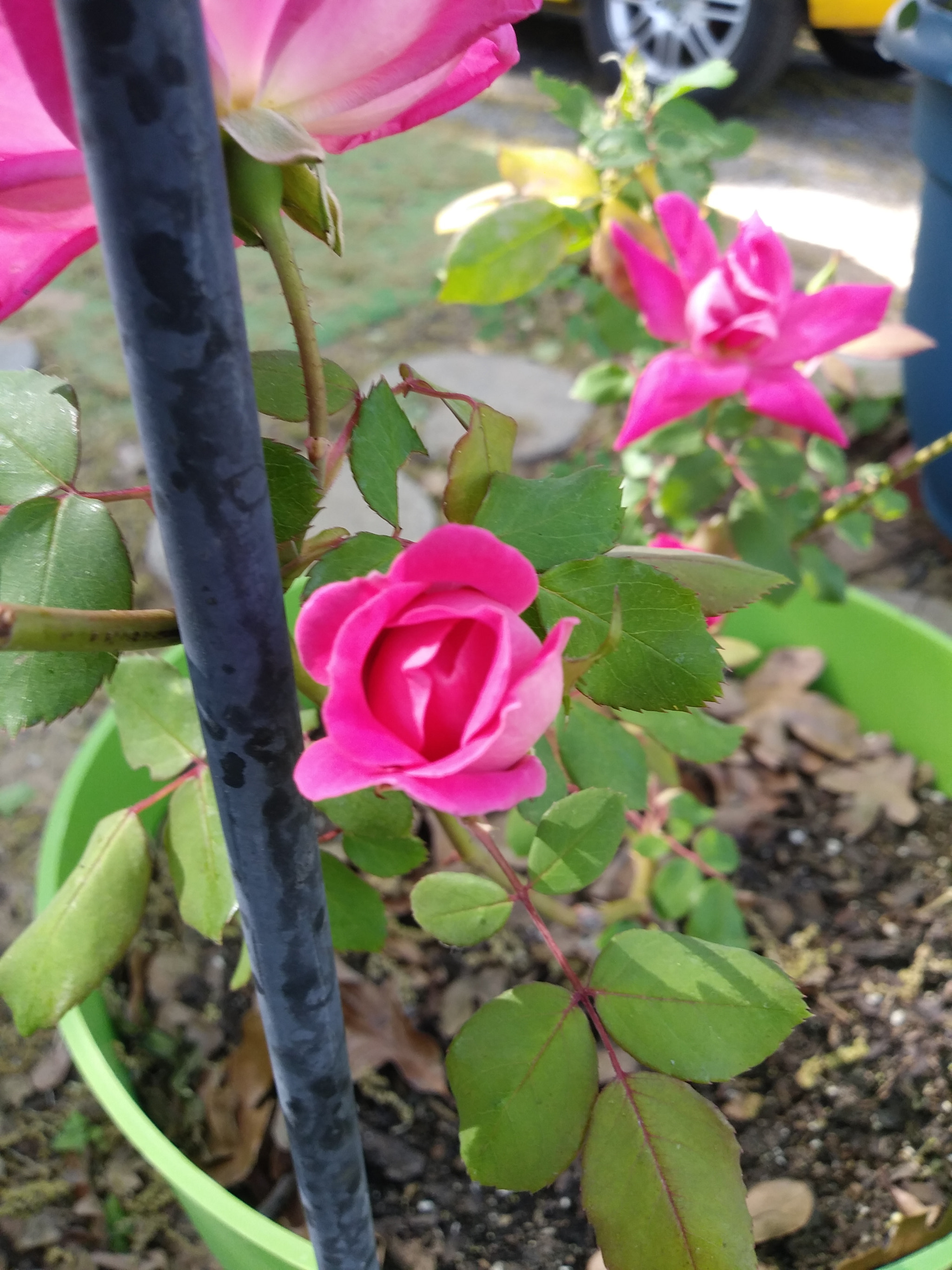 LG K8(2018) sample photo