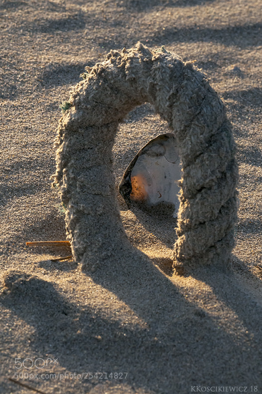 Nikon D300S sample photo. Beach light catcher photography