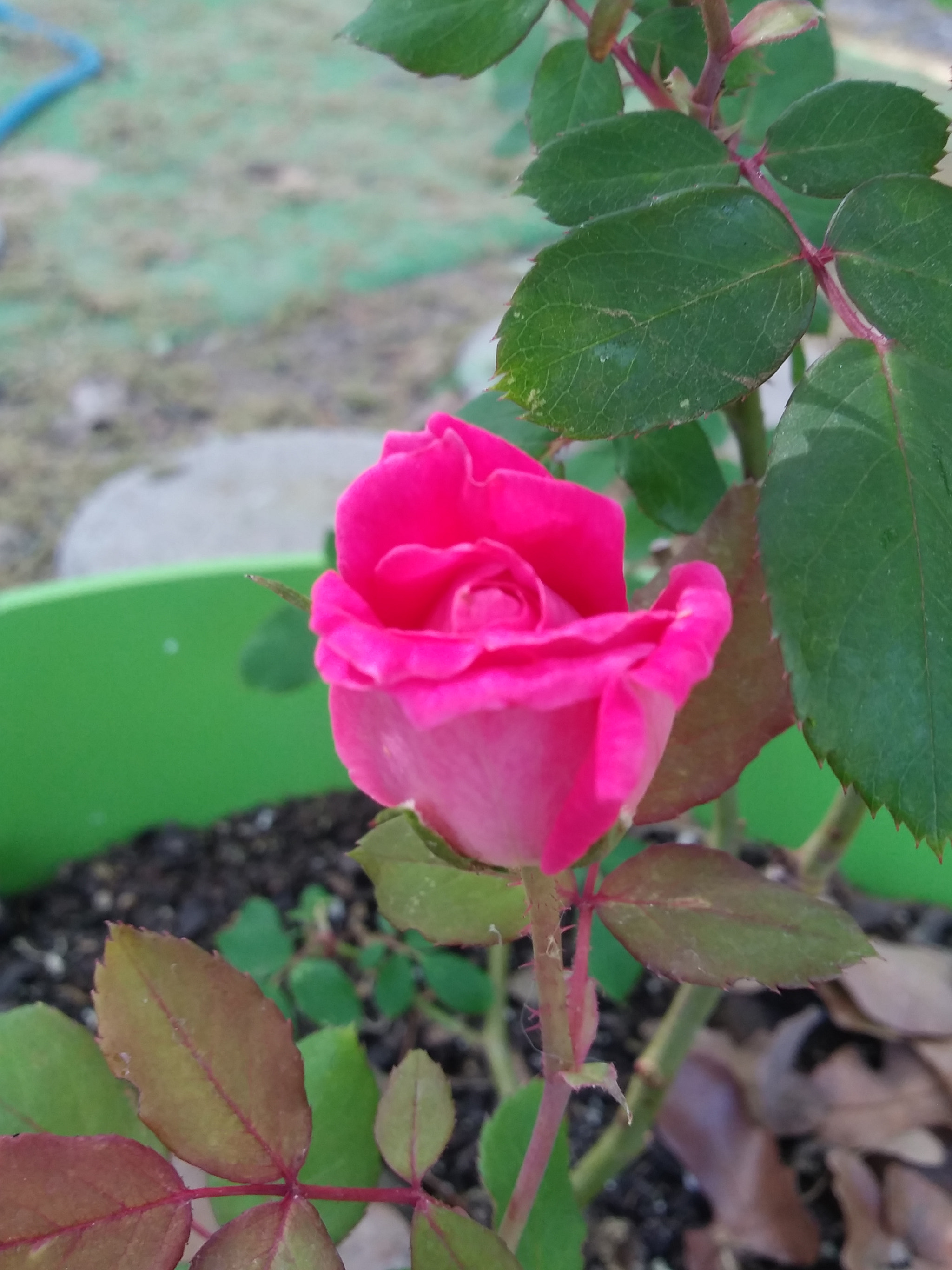 LG K8(2018) sample photo