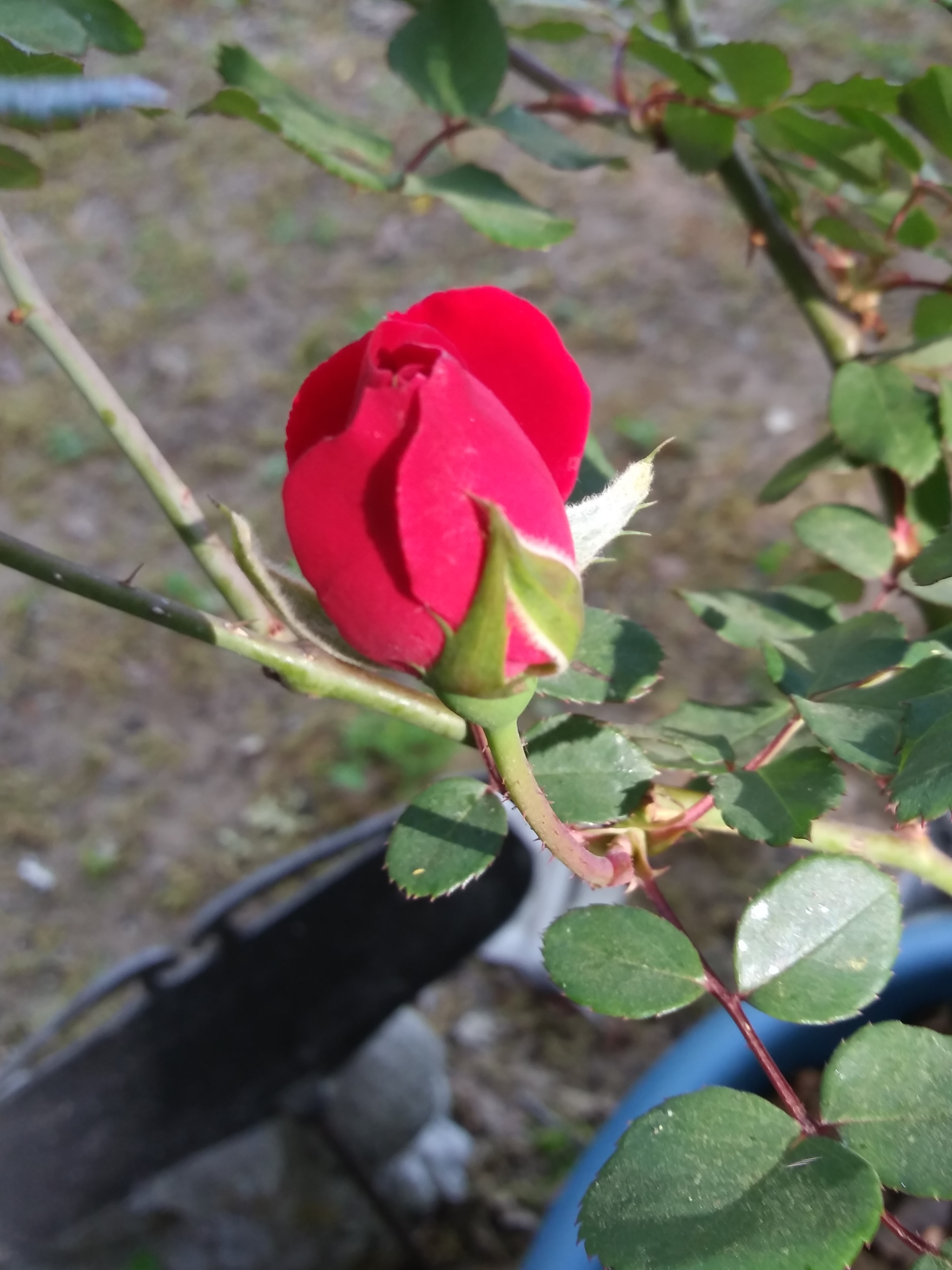 LG K8(2018) sample photo