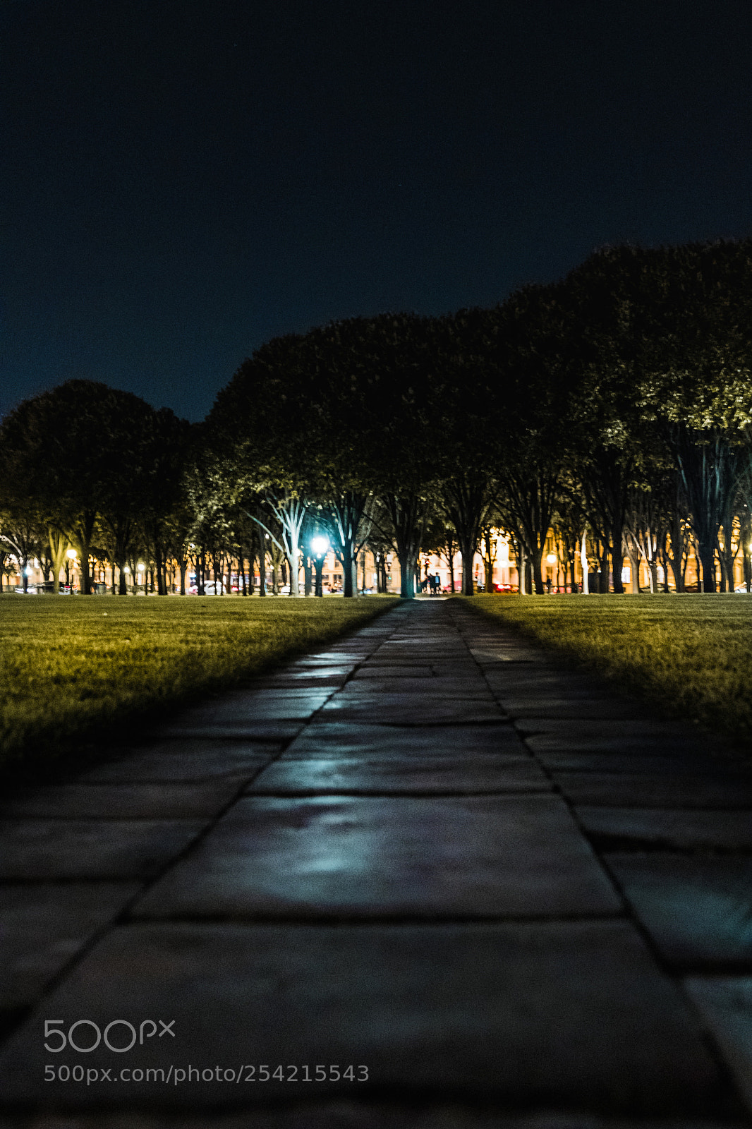 Canon EOS 80D sample photo. Night shot photography