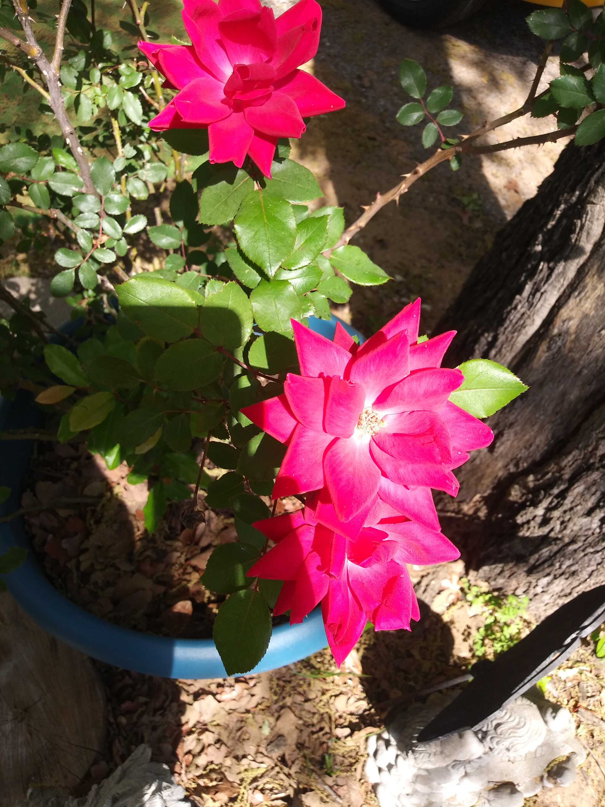 LG K8(2018) sample photo