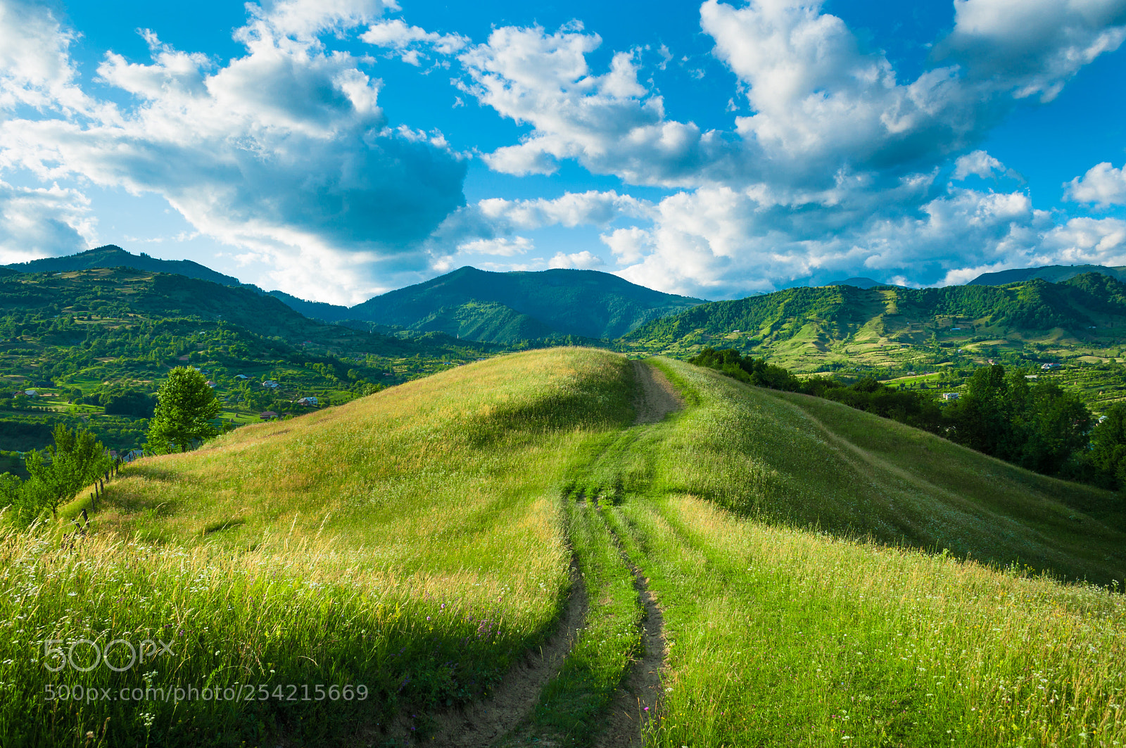 Nikon D5000 sample photo. A spring landscape on photography