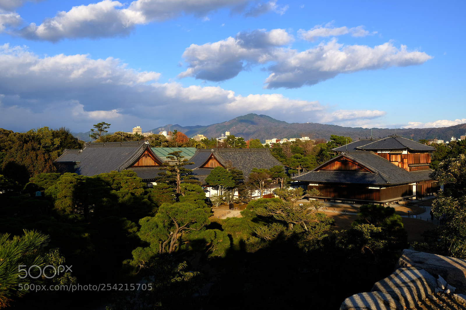 Fujifilm X-T20 sample photo. Dscf photography