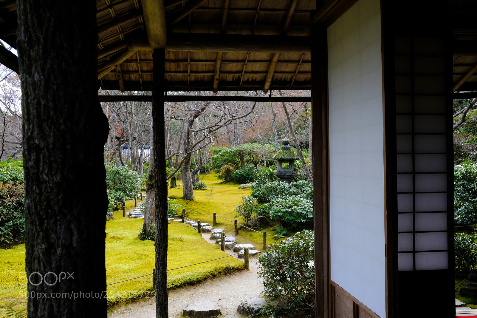 Fujifilm X-T20 sample photo. Dscf photography