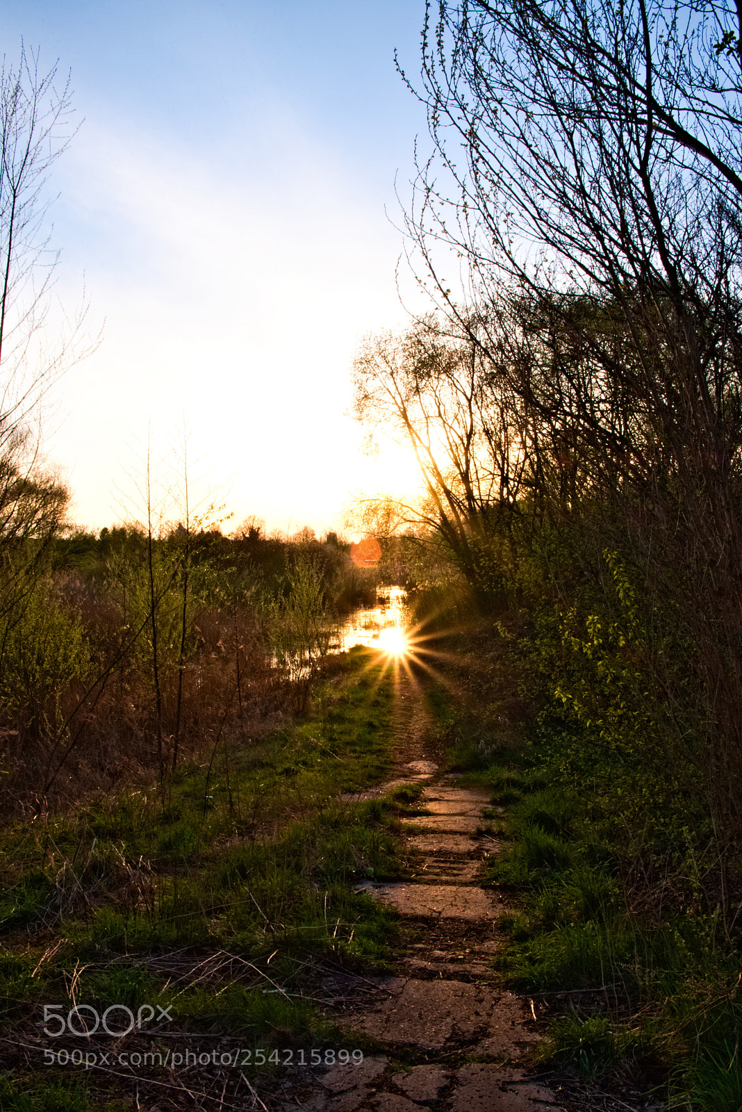 Fujifilm X-T20 sample photo. Into the light photography