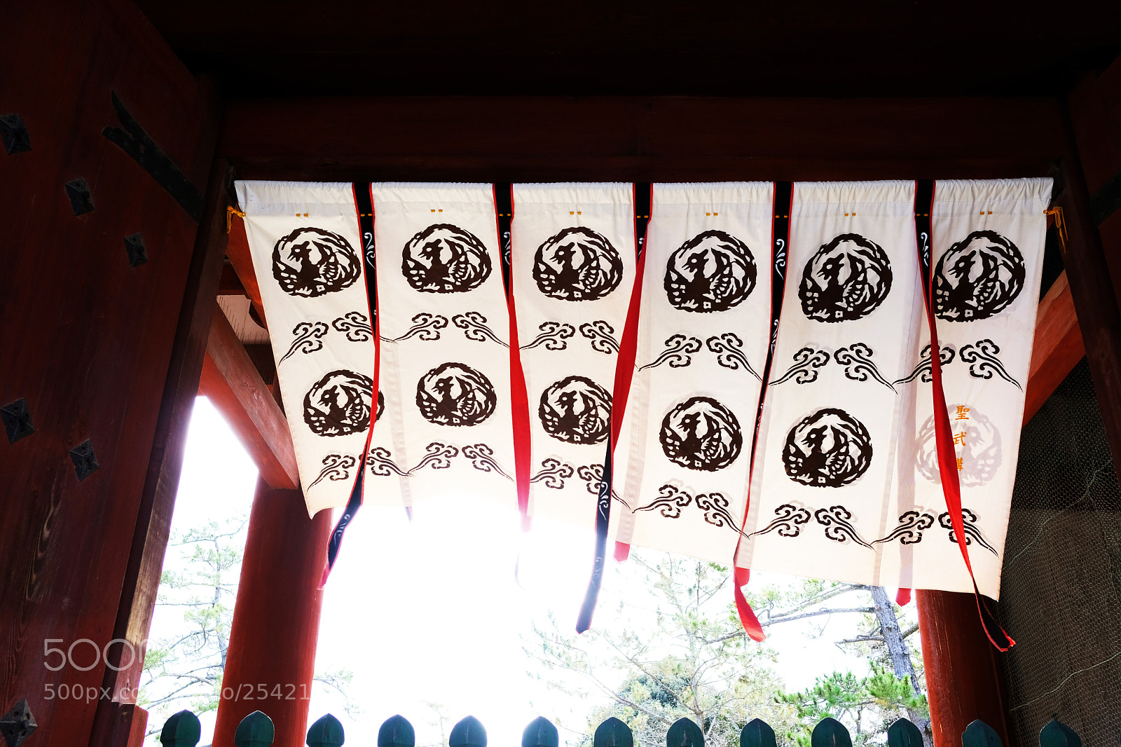 Fujifilm X-T20 sample photo. Dscf photography
