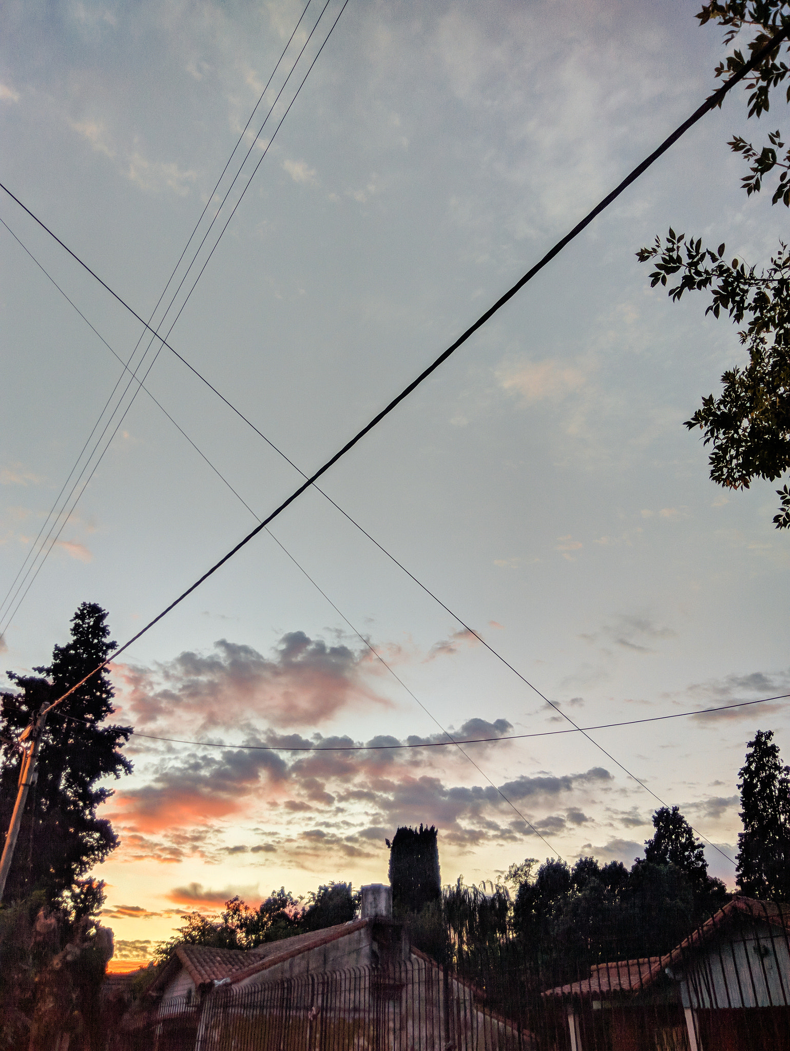 Xiaomi Redmi Note 3 sample photo