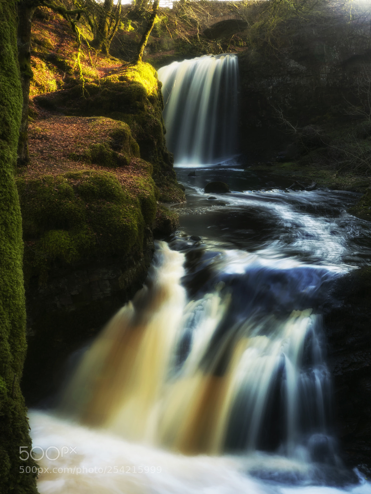 Olympus OM-D E-M5 II sample photo. Dalcairney falls doon valley photography