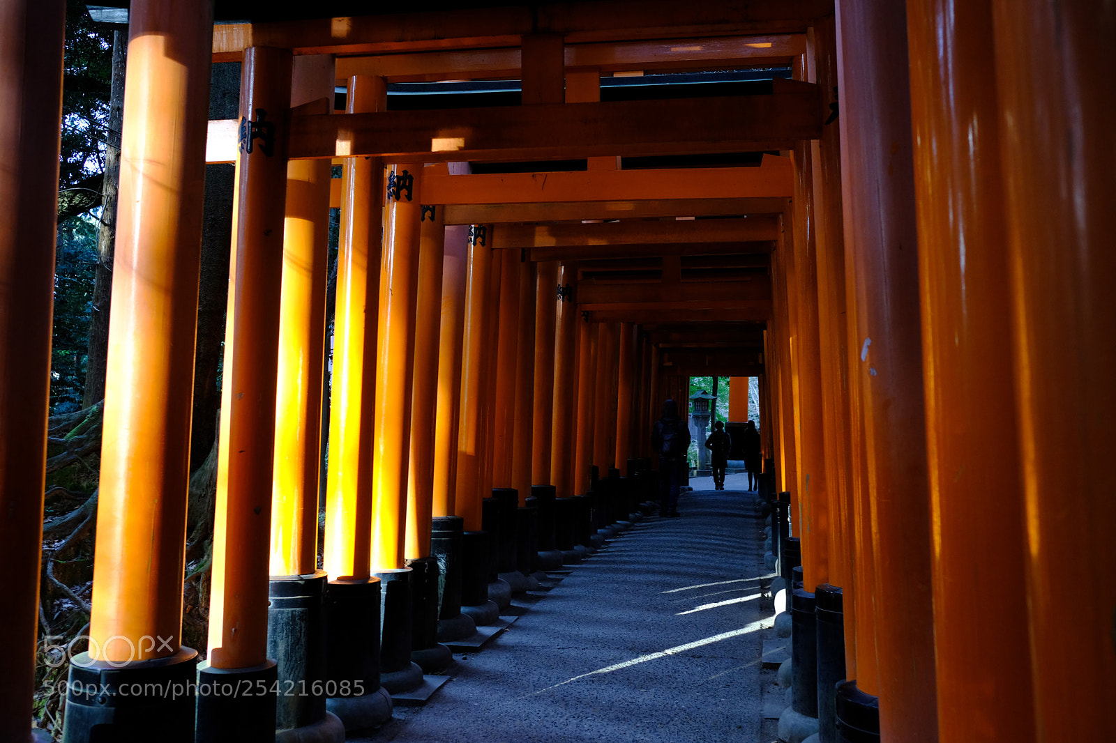 Fujifilm X-T20 sample photo. Dscf photography