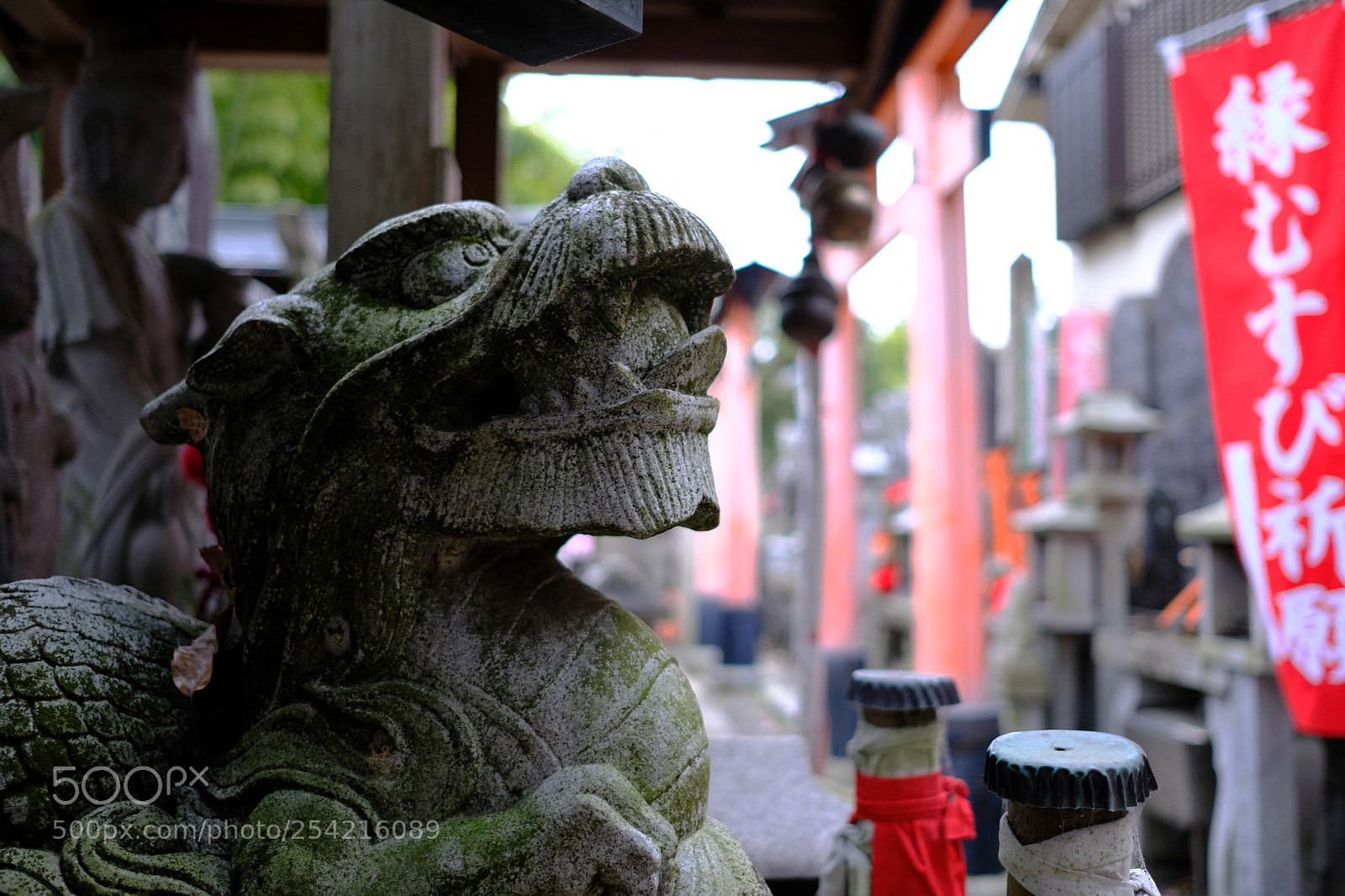Fujifilm X-T20 sample photo. Dscf photography