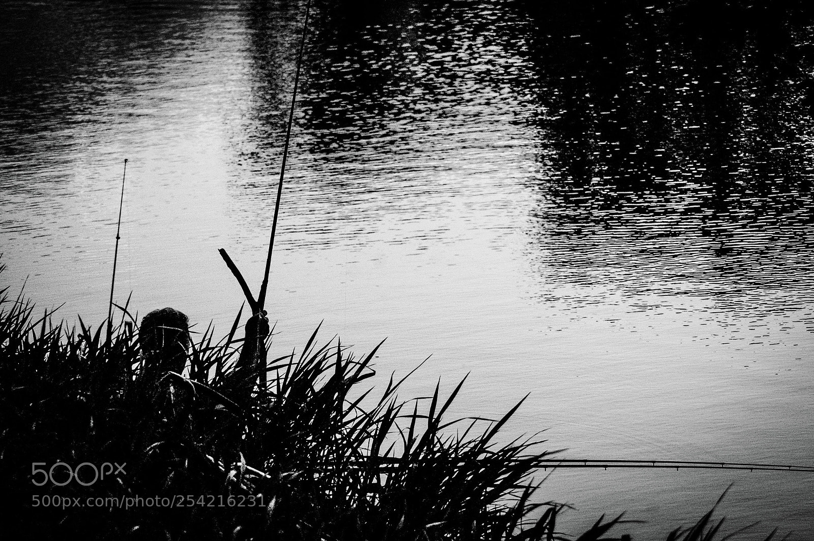 Nikon D70 sample photo. Fisherman photography