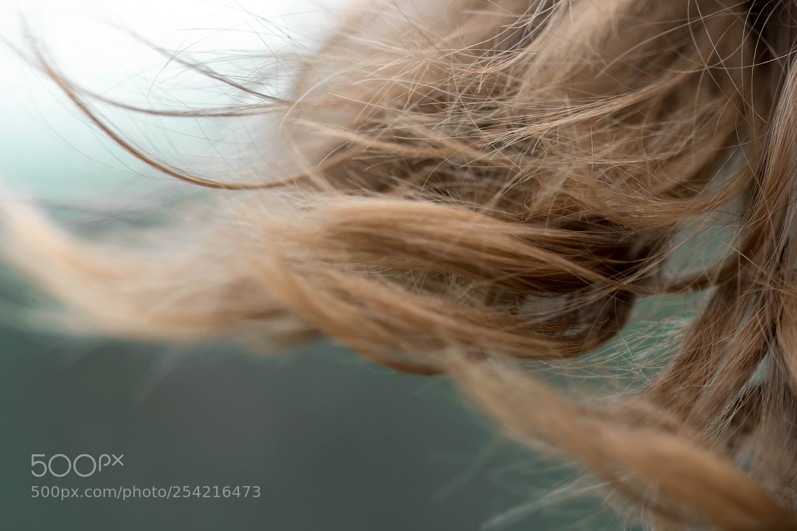 Canon EOS 7D Mark II sample photo. Golden thread photography