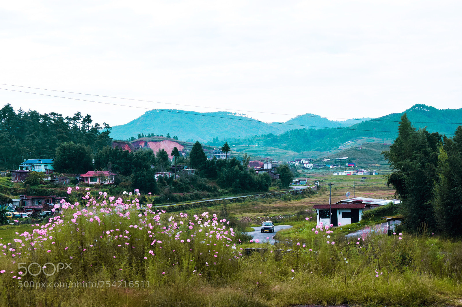 Nikon D5300 sample photo. Untitled photography