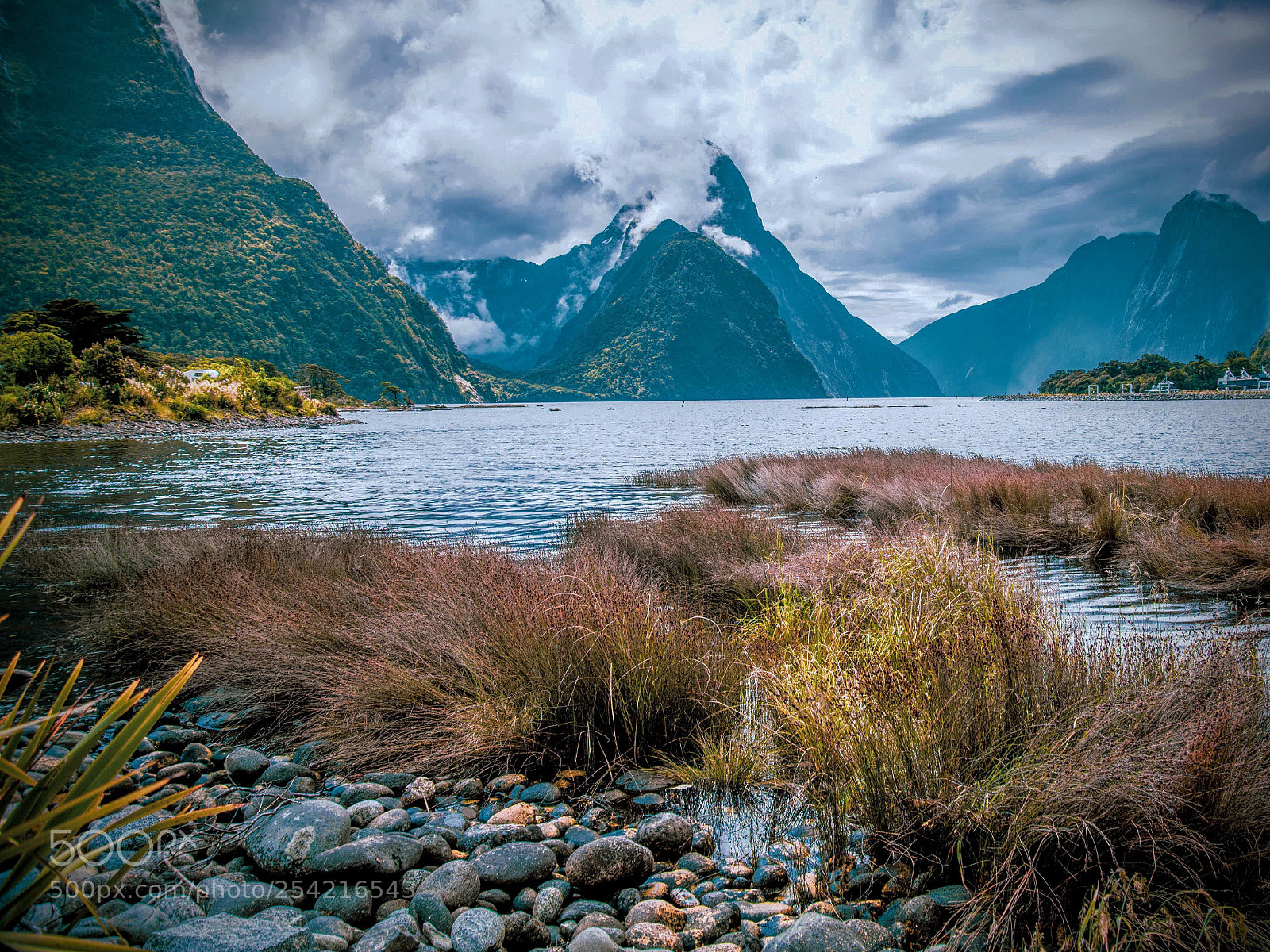 Nikon D610 sample photo. Milford sound photography