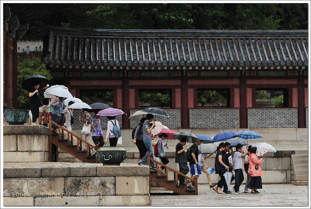 Canon EOS 60D sample photo. 궁 나들이 photography