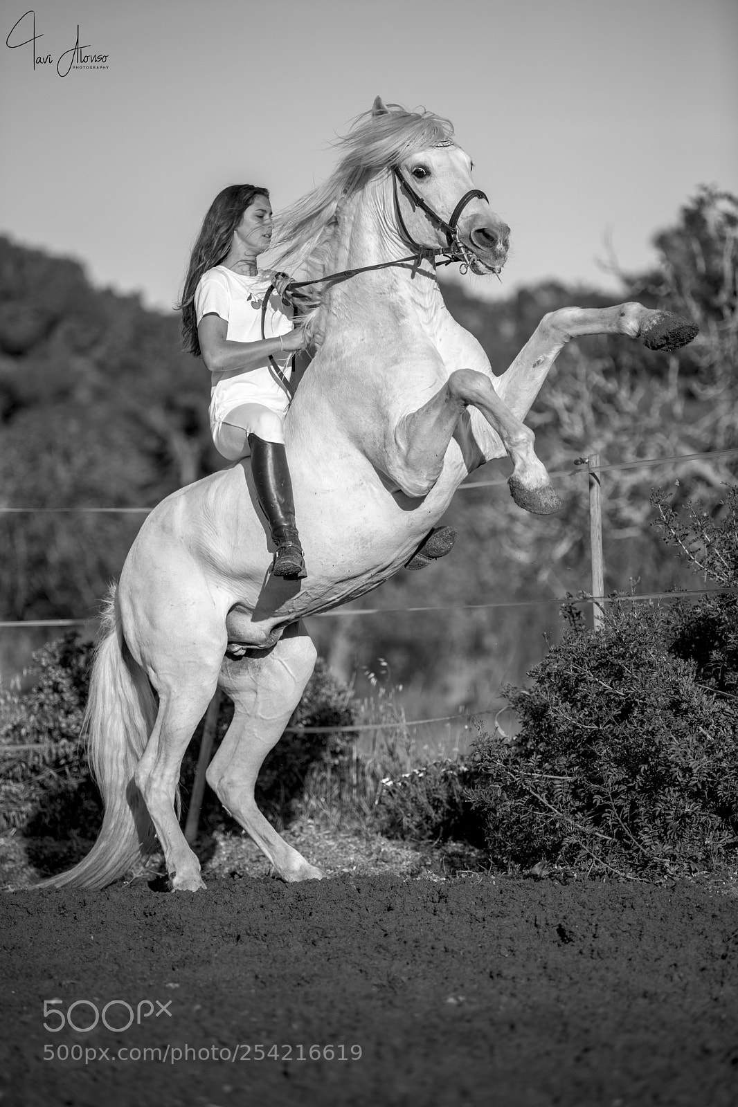 Nikon D5 sample photo. Blacks&whites: valetina & xuroy photography