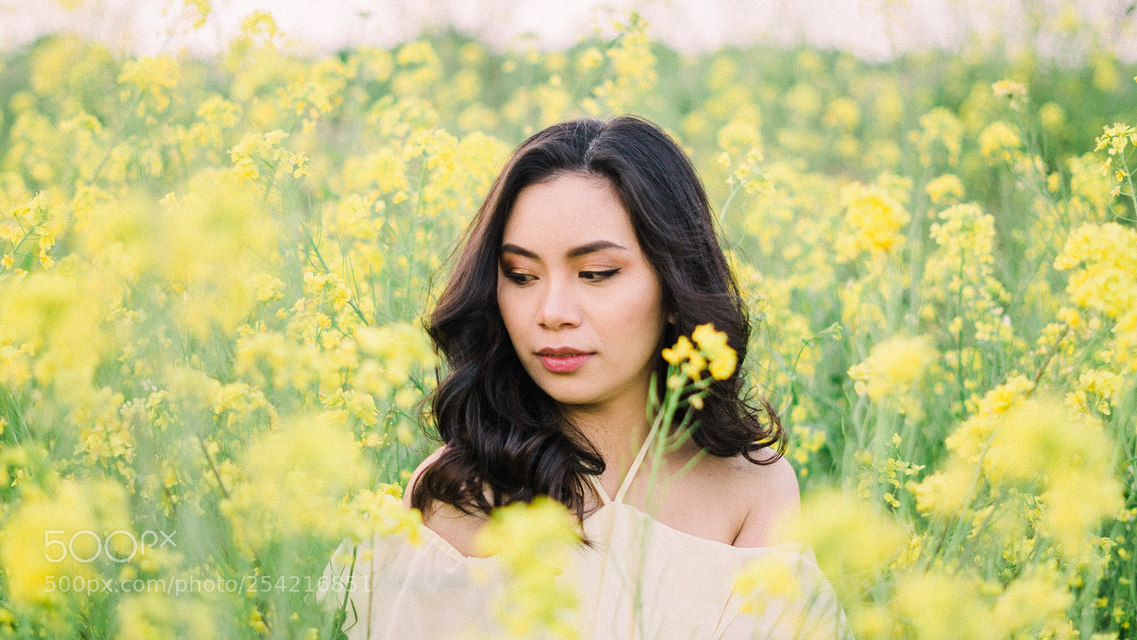 Sony a6300 sample photo. Untitled photography