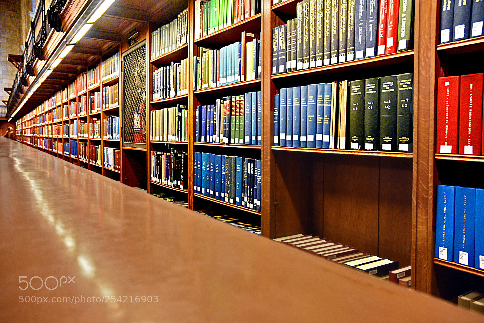 Nikon D3400 sample photo. Row of books photography