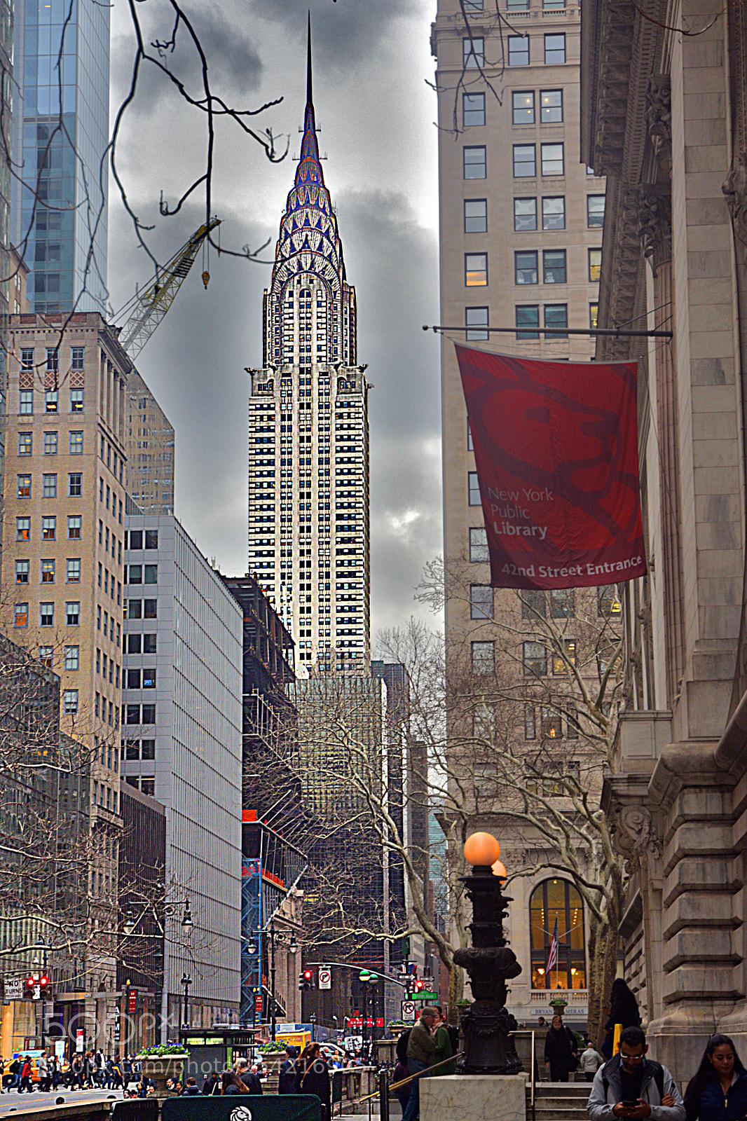 Nikon D3400 sample photo. Standing tall photography