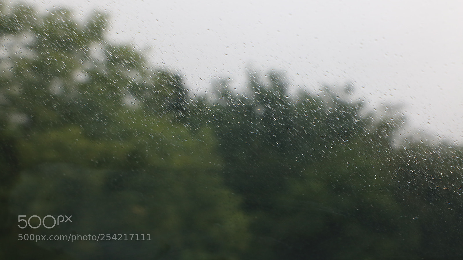 Canon EOS 750D (EOS Rebel T6i / EOS Kiss X8i) sample photo. Rain on glass photography