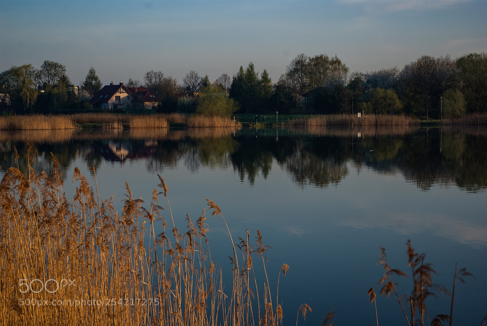 Pentax K10D sample photo. Sunrise photography
