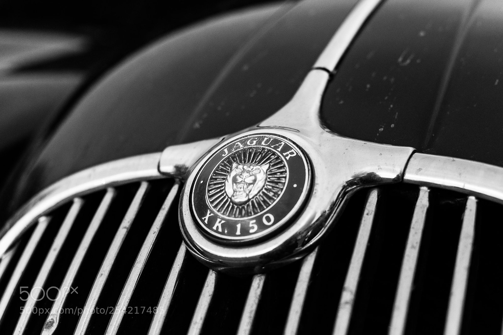 Nikon D7200 sample photo. Jaguar xk150 photography