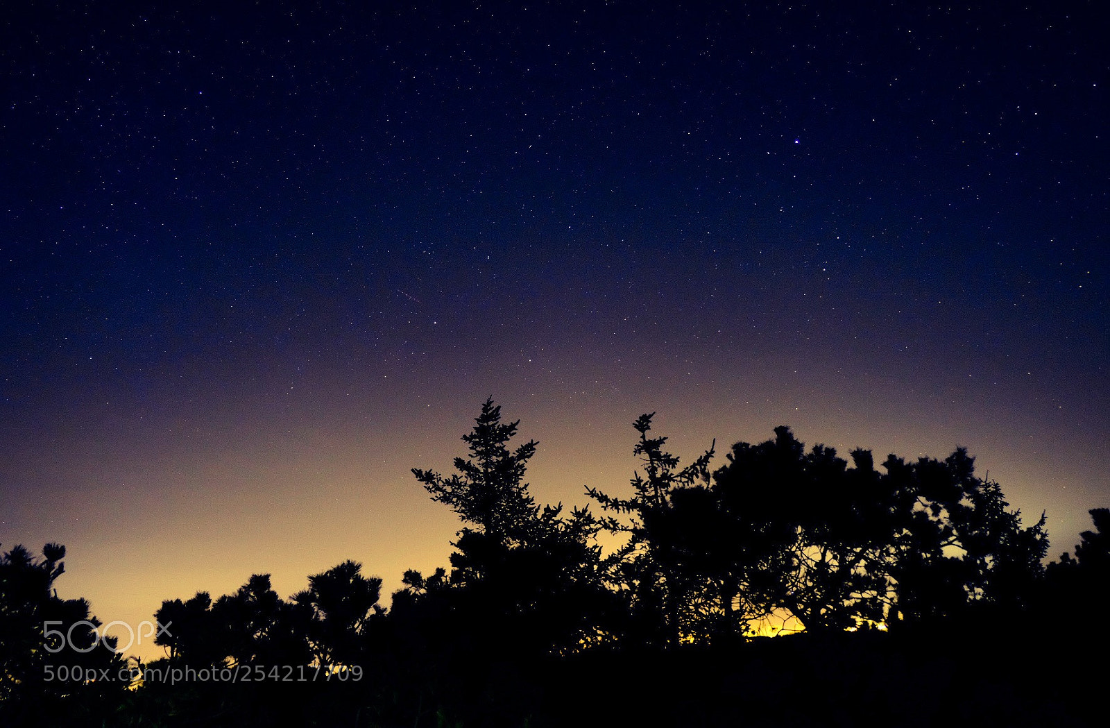 Fujifilm X-T20 sample photo. Night & stars photography