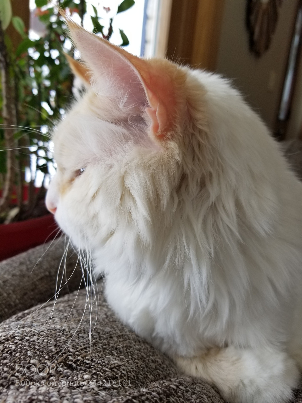 Samsung Galaxy S8 sample photo. Untitled photography