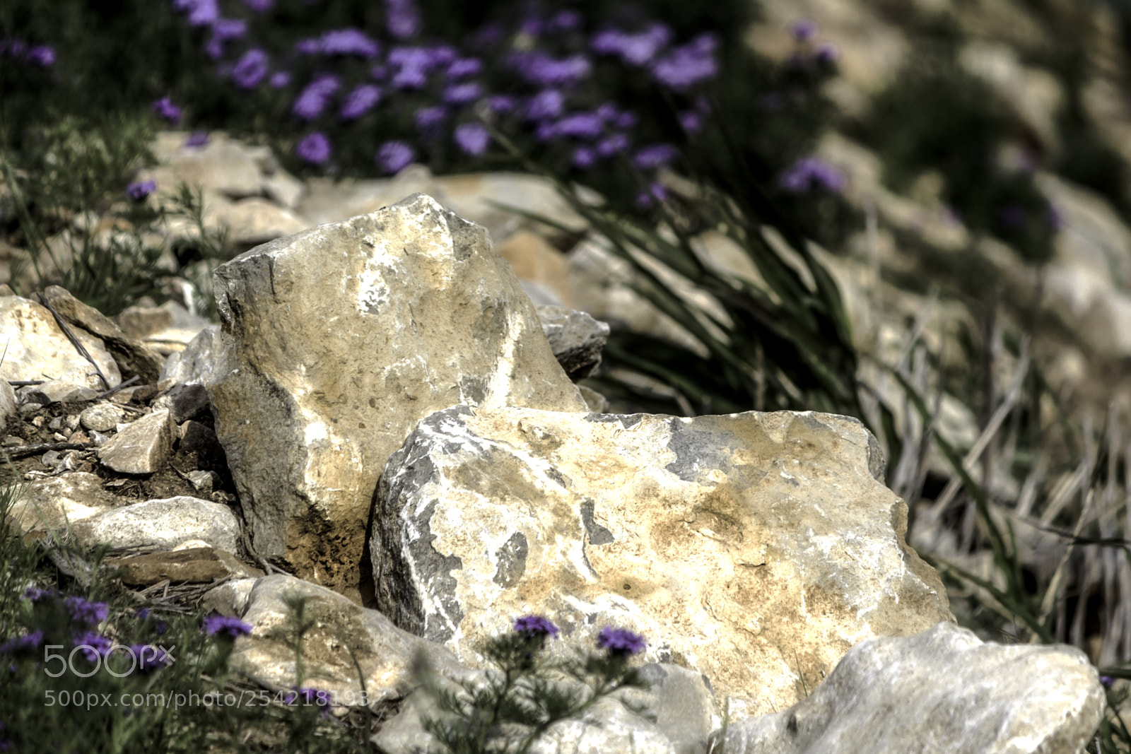 Canon EOS 650D (EOS Rebel T4i / EOS Kiss X6i) sample photo. Large rocks photography
