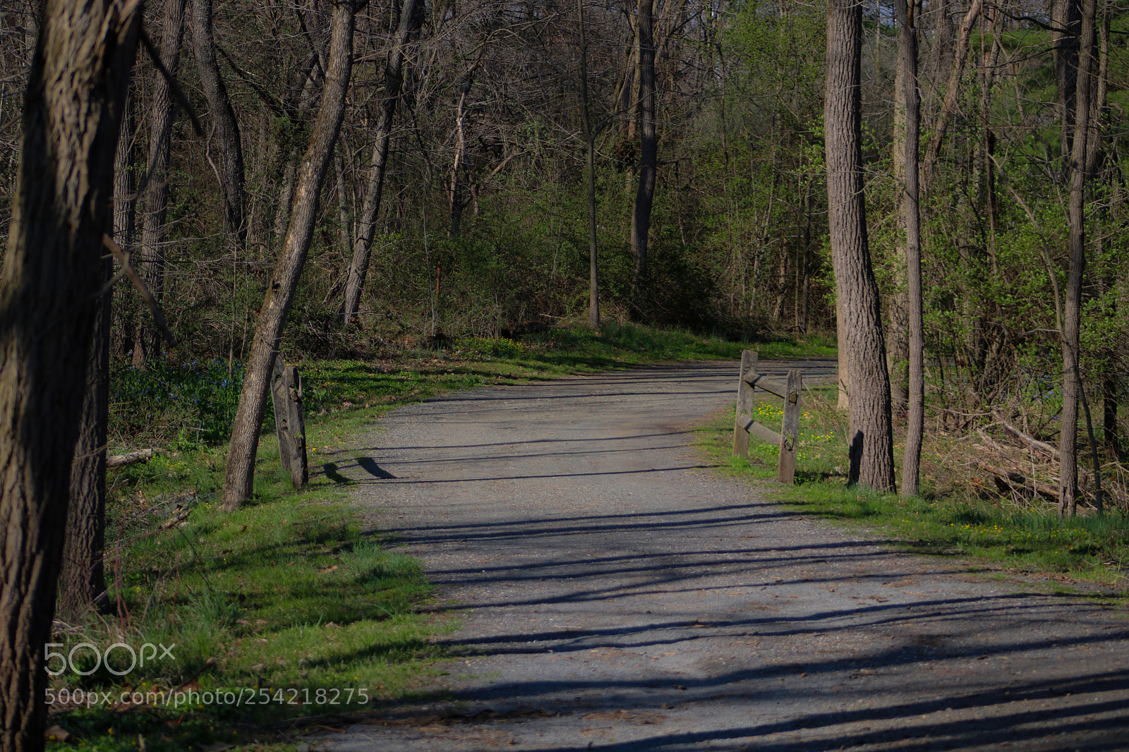 Canon EOS 750D (EOS Rebel T6i / EOS Kiss X8i) sample photo. Twists and turns photography