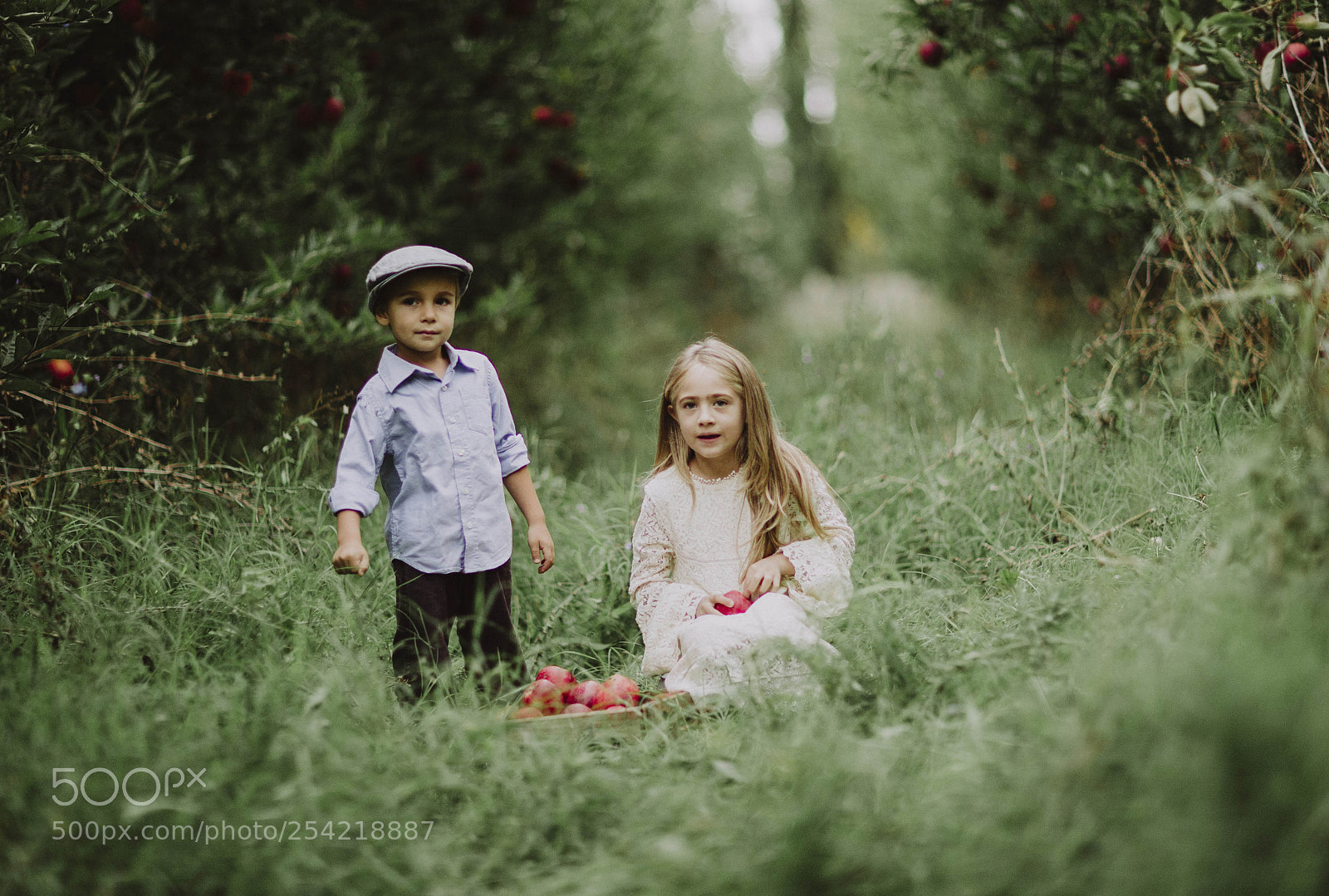 Canon EOS-1D X sample photo. Kids and apples photography