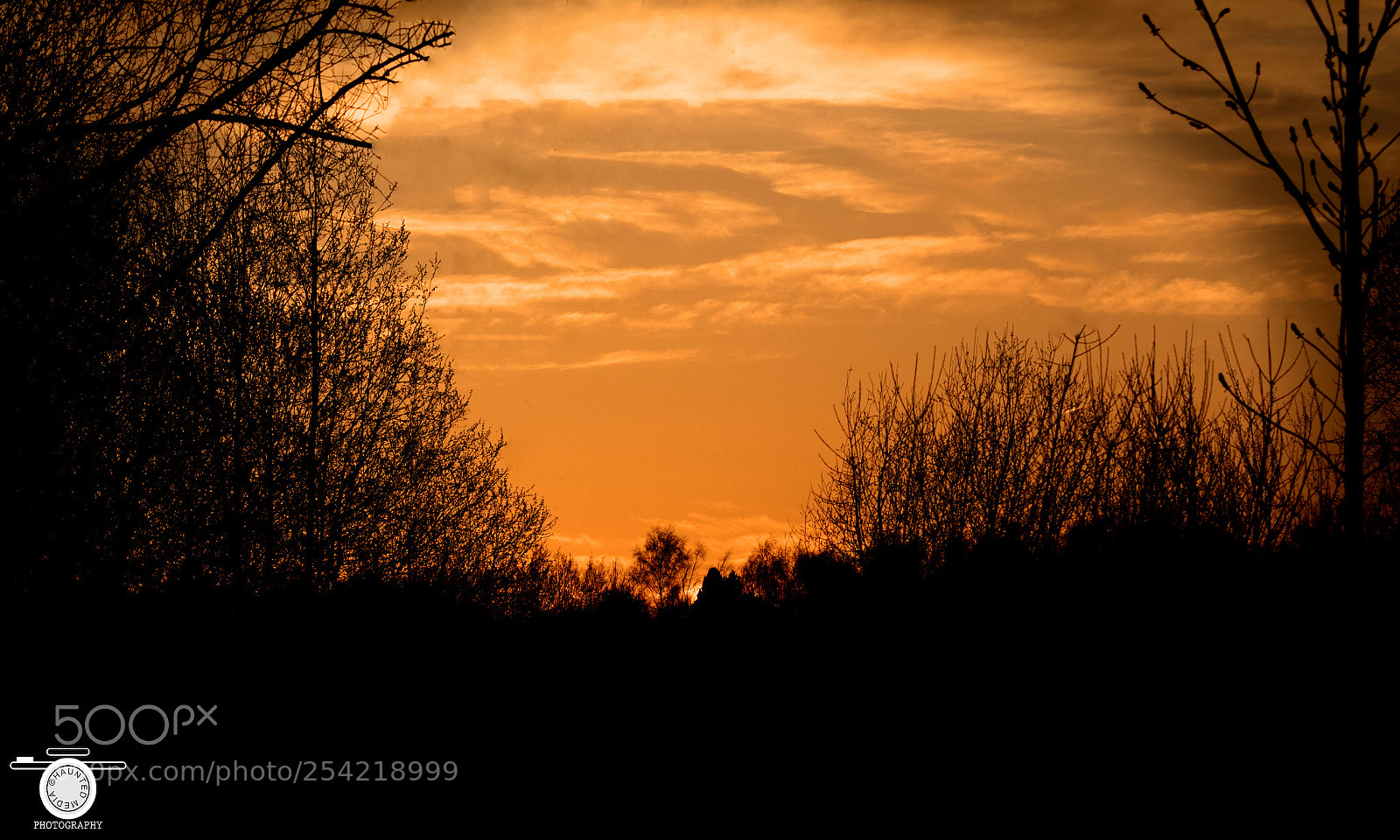 Canon EOS 700D (EOS Rebel T5i / EOS Kiss X7i) sample photo. Sunset over brierley park. photography