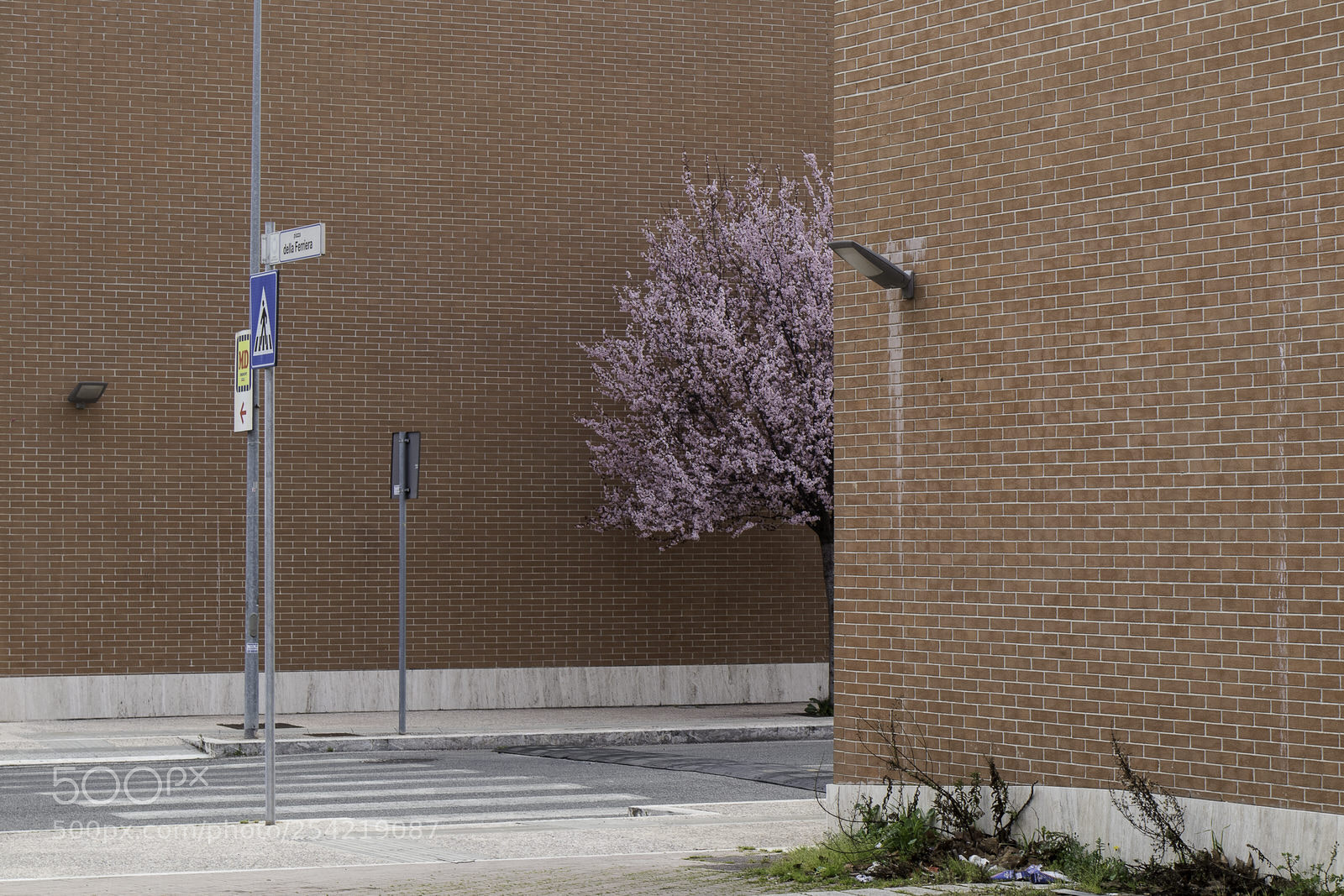 Canon EOS M5 sample photo. Appearing spring photography