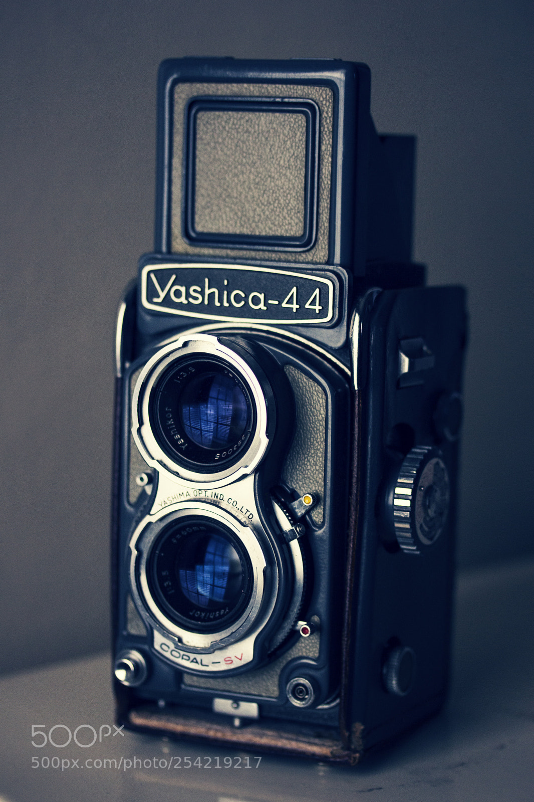 Canon EOS 60D sample photo. Yashica-44 photography