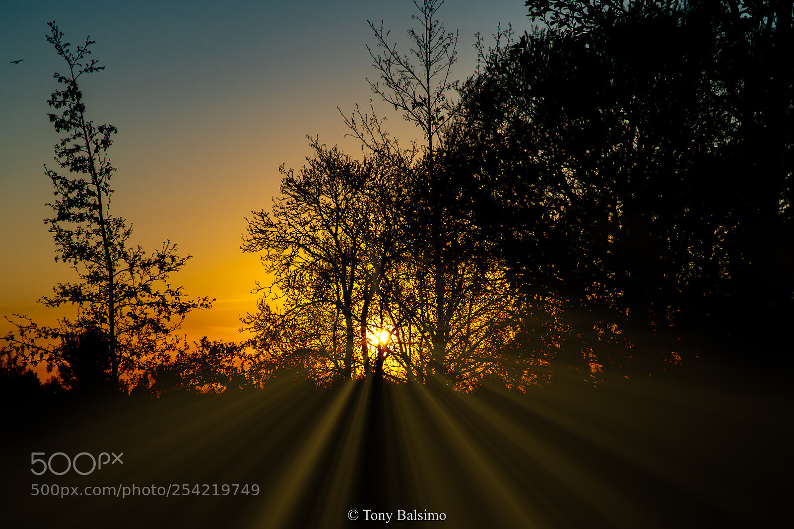 Sony a6300 sample photo. Sunset-rays! photography
