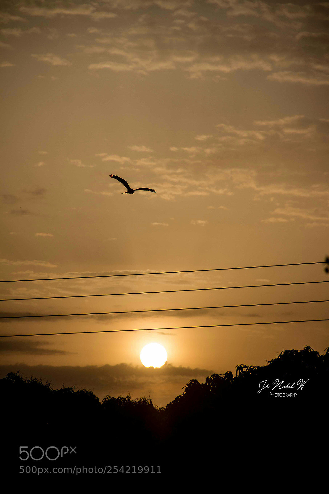Canon EOS 7D sample photo. Sunrise beauty.? photography
