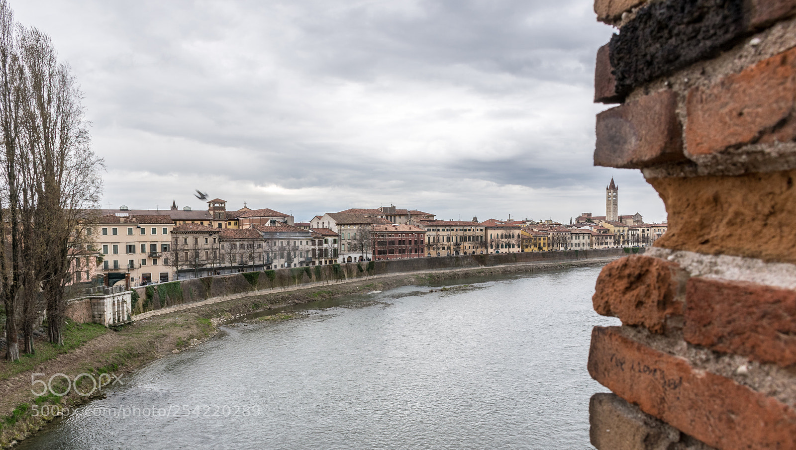 Nikon D5300 sample photo. Town and brigde photography