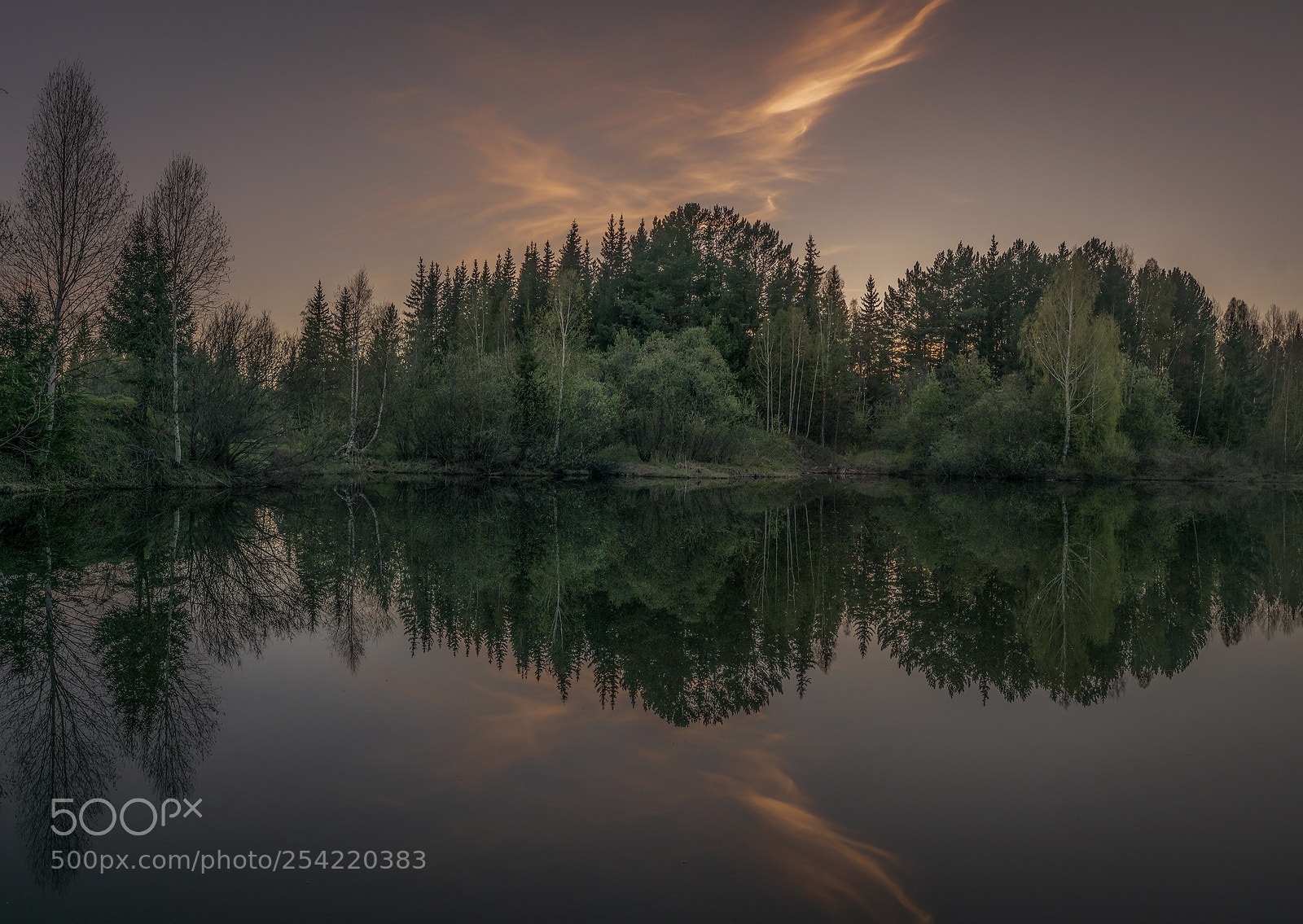 Sony ILCA-77M2 sample photo. ... spring silence ... photography