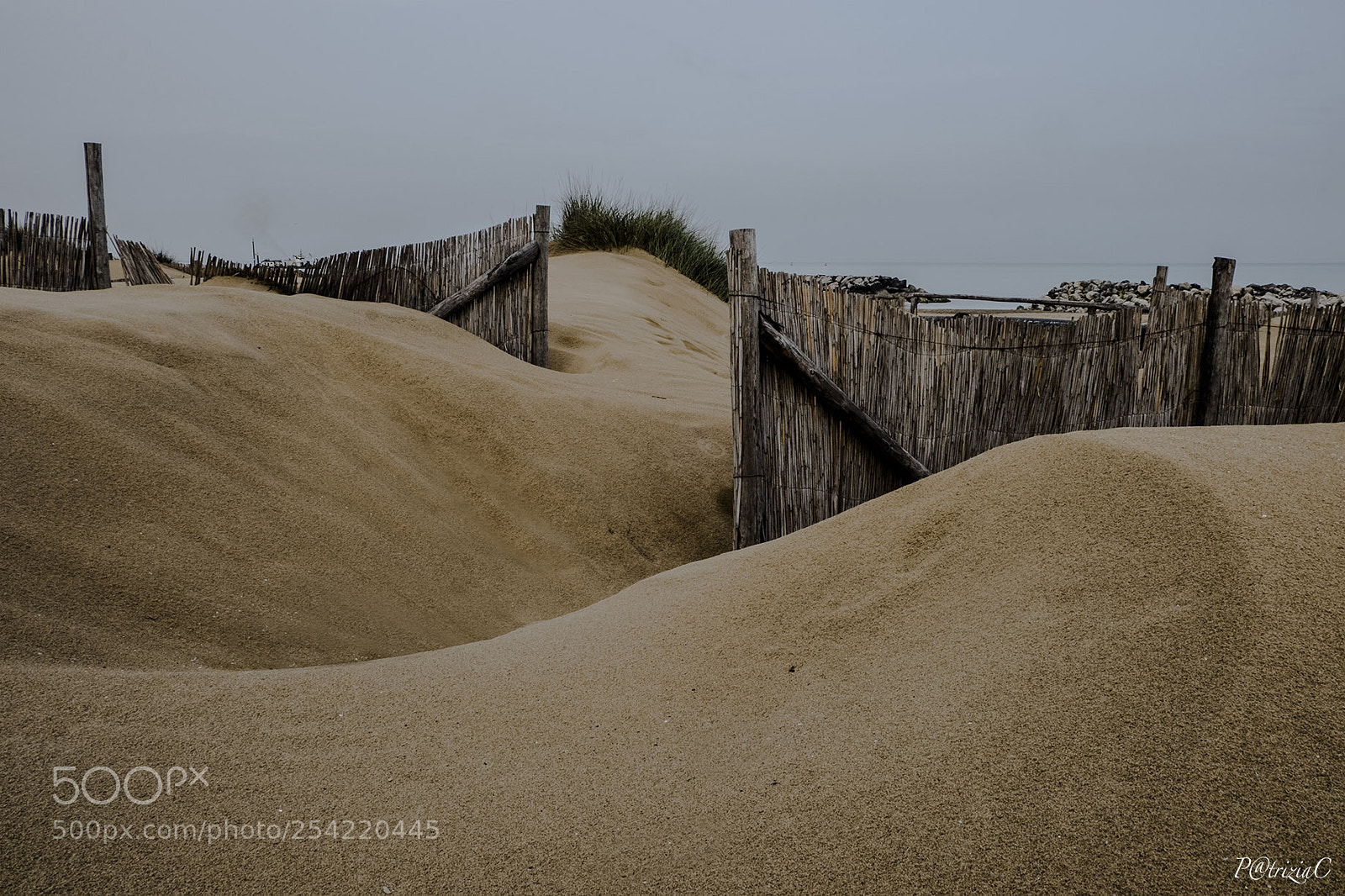 Fujifilm X-T2 sample photo. #dune# photography