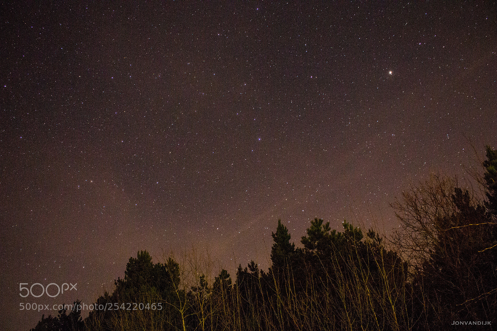 Canon EOS 700D (EOS Rebel T5i / EOS Kiss X7i) sample photo. Stars over the woods photography
