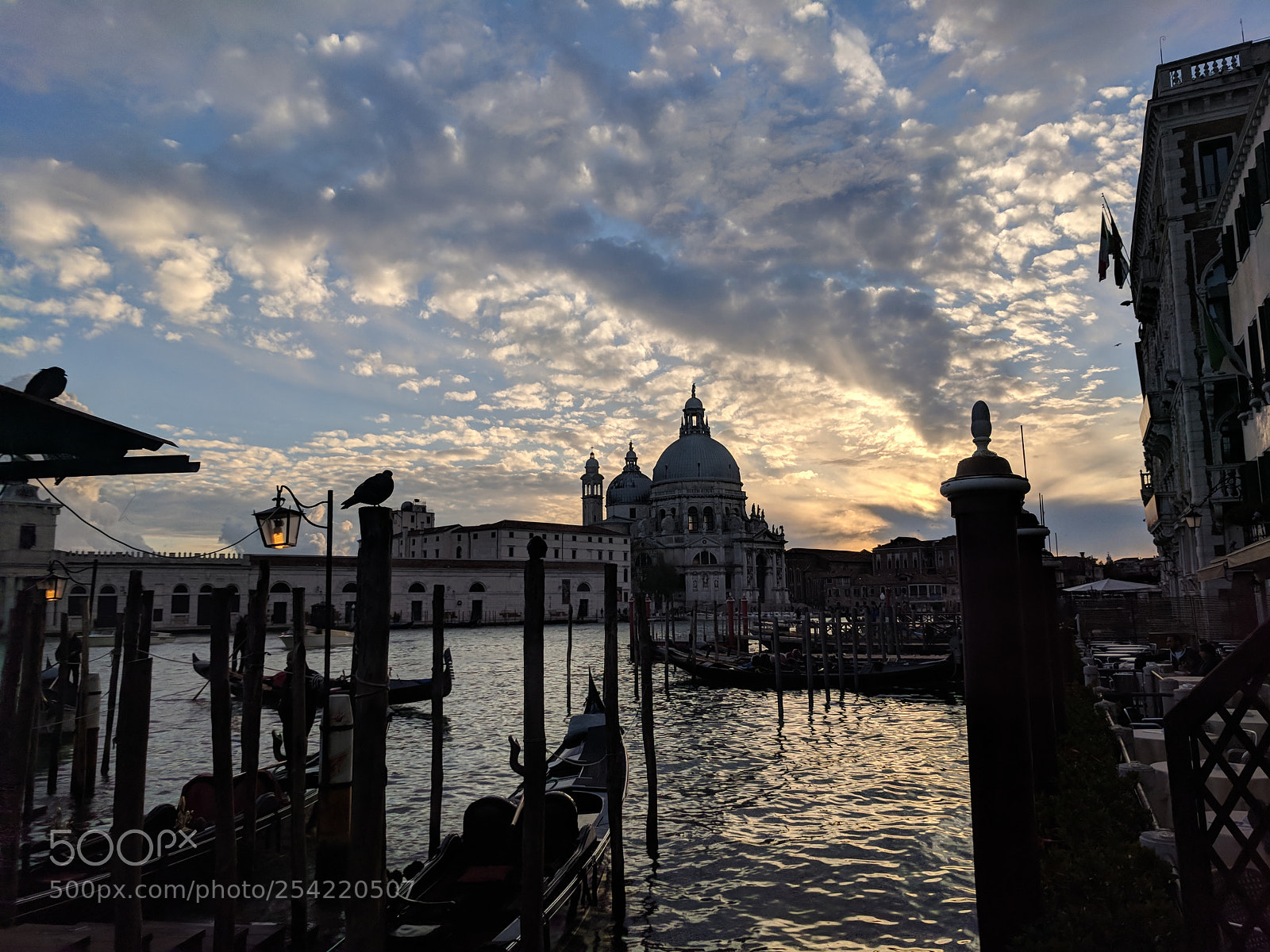 Google Pixel sample photo. Untitled photography