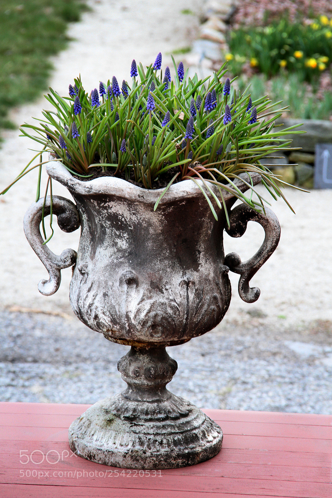 Canon EF-S 18-135mm F3.5-5.6 IS sample photo. Urn and spring flowers photography